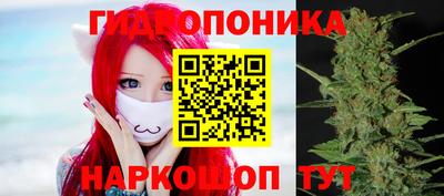 тгк Канаш