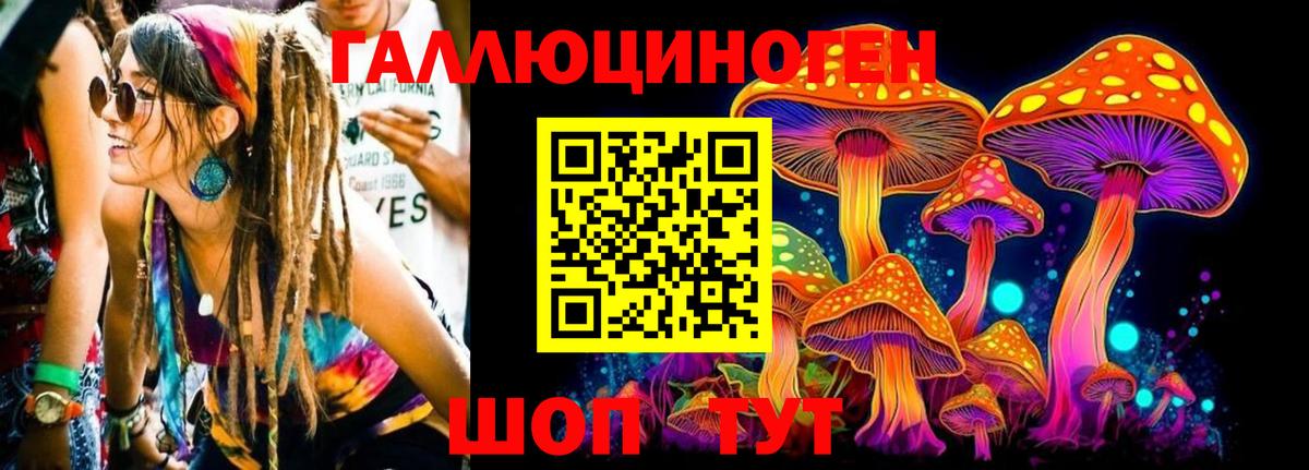 Псилоцибиновые грибы мухоморы Елизово
